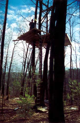 treehouse-with-figure.jpg