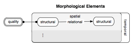 morphological-elements