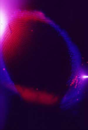 thumbprint-2-high-blue.jpg
